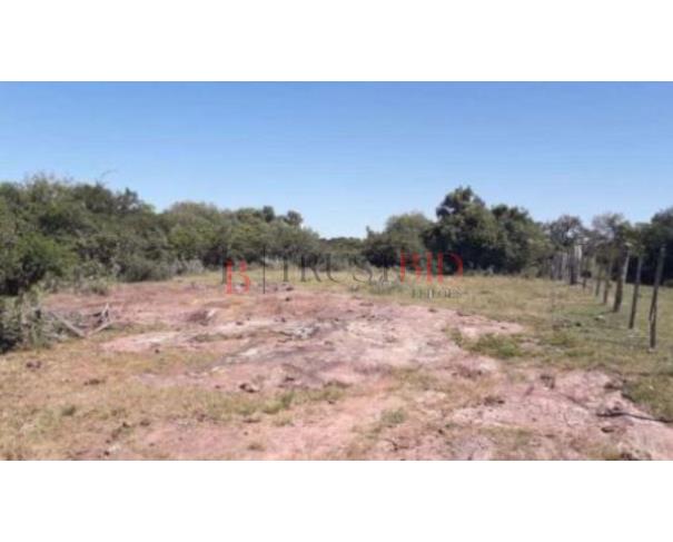 Foto de FAZENDA | SANTANA DA BOA VISTA/RS