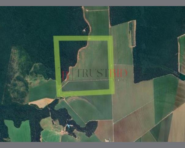 Foto de ÁREA RURAL | TAPURAH/MT - 370,00ha
