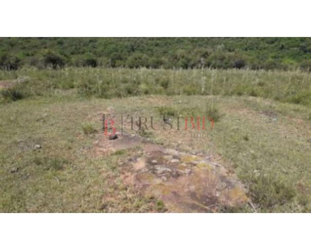 Foto de FAZENDA | SANTANA DA BOA VISTA/RS