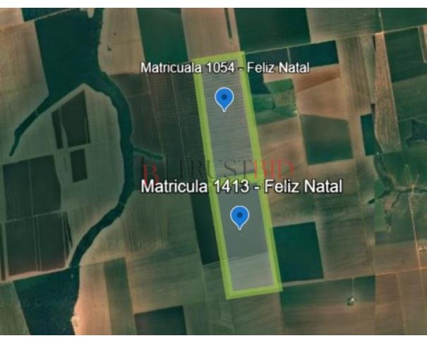 Foto de FAZENDA EM FELIZ NATAL/MT - 250,00ha