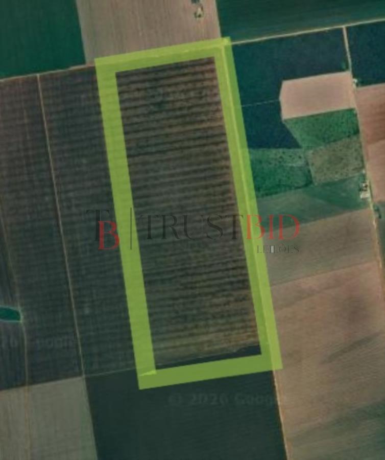 Fazenda em feliz natal/mt - fazenda em feliz natal/mt - 250,00ha