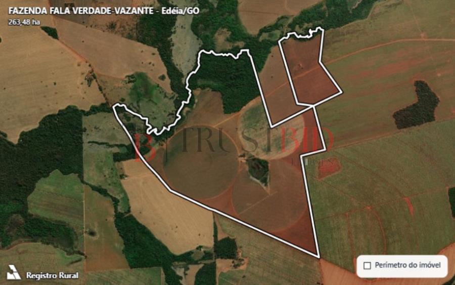 Imagem do imóvel FAZENDA FALA VERDADE VAZANTE | EDÉIA/GO LEILÃO DE IMÓVEIS | BANCO INTER