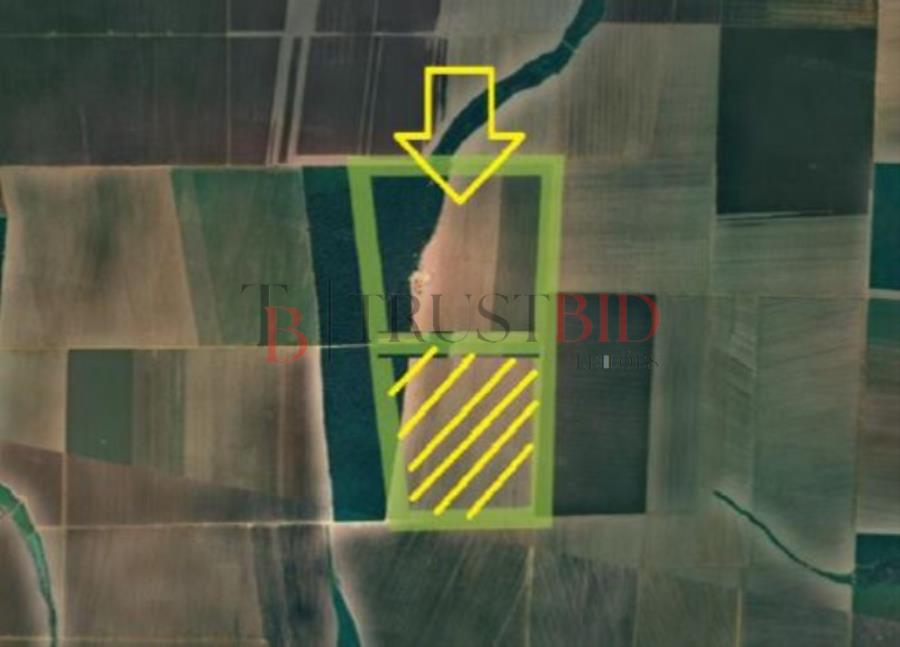 Imagem do imóvel ÁREA RURAL | FELIZ NATAL/MT - 250,00ha FAZENDA EM FELIZ NATAL/MT