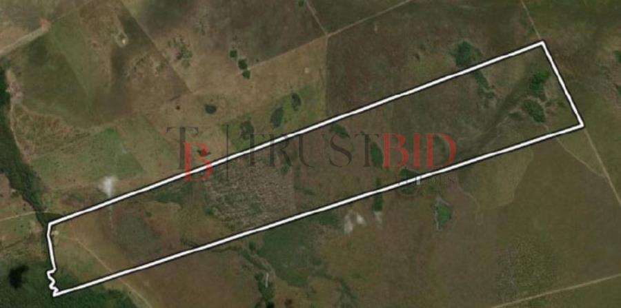 Imagem do imóvel FAZENDA ÁGUA VIVA | SÃO FÉLIX DO ARAGUAIA/MT LEILÃO DE IMÓVEIS | BANCO INTER