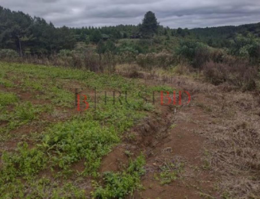 ÁREA RURAL | LEBON RÉGIS/SC ÁREA RURAL | LEBON RÉGIS/SC, localizado em Lebon Régis - SC