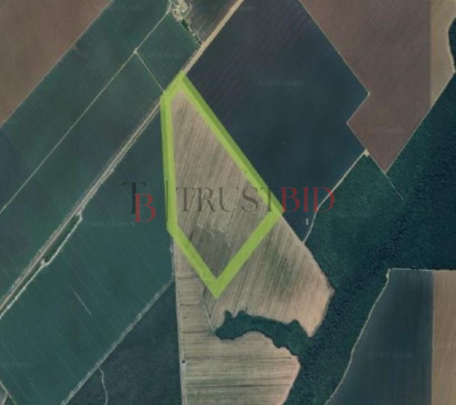 Imagem do imóvel ÁREA RURAL | TAPURAH/MT - 108,6135ha 2º LEILÃO EXTRAJUDICIAL