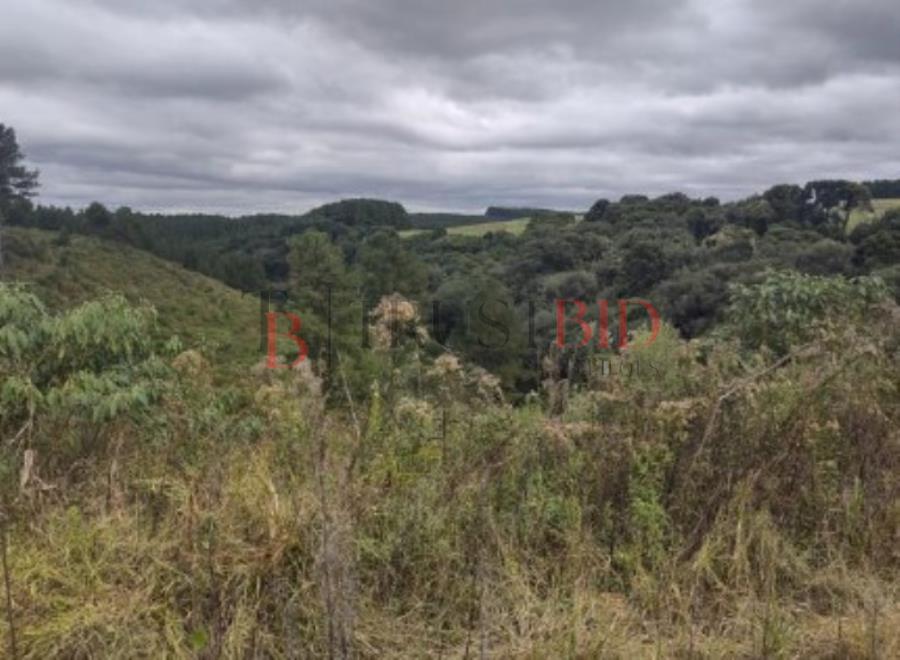 ÁREA RURAL | LEBON RÉGIS/SC ÁREA RURAL | LEBON RÉGIS/SC, localizado em Lebon Régis - SC