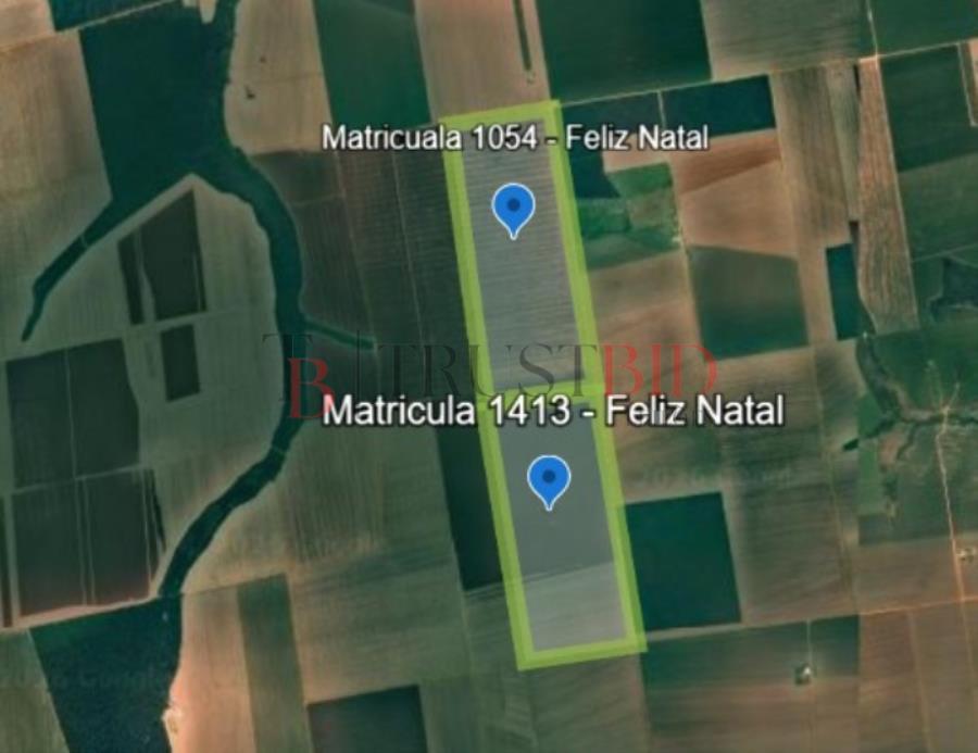 miniatura-1